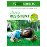 Semillas De Cesped Resistent Caja De 1 Kg.