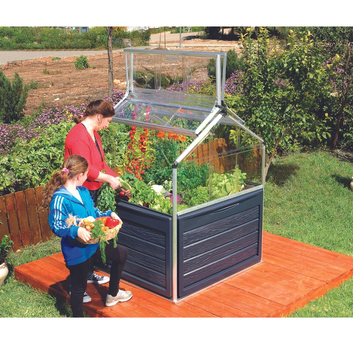 Mini Invernadero Plant Inn 118x118x148 cm Canopia by Palram