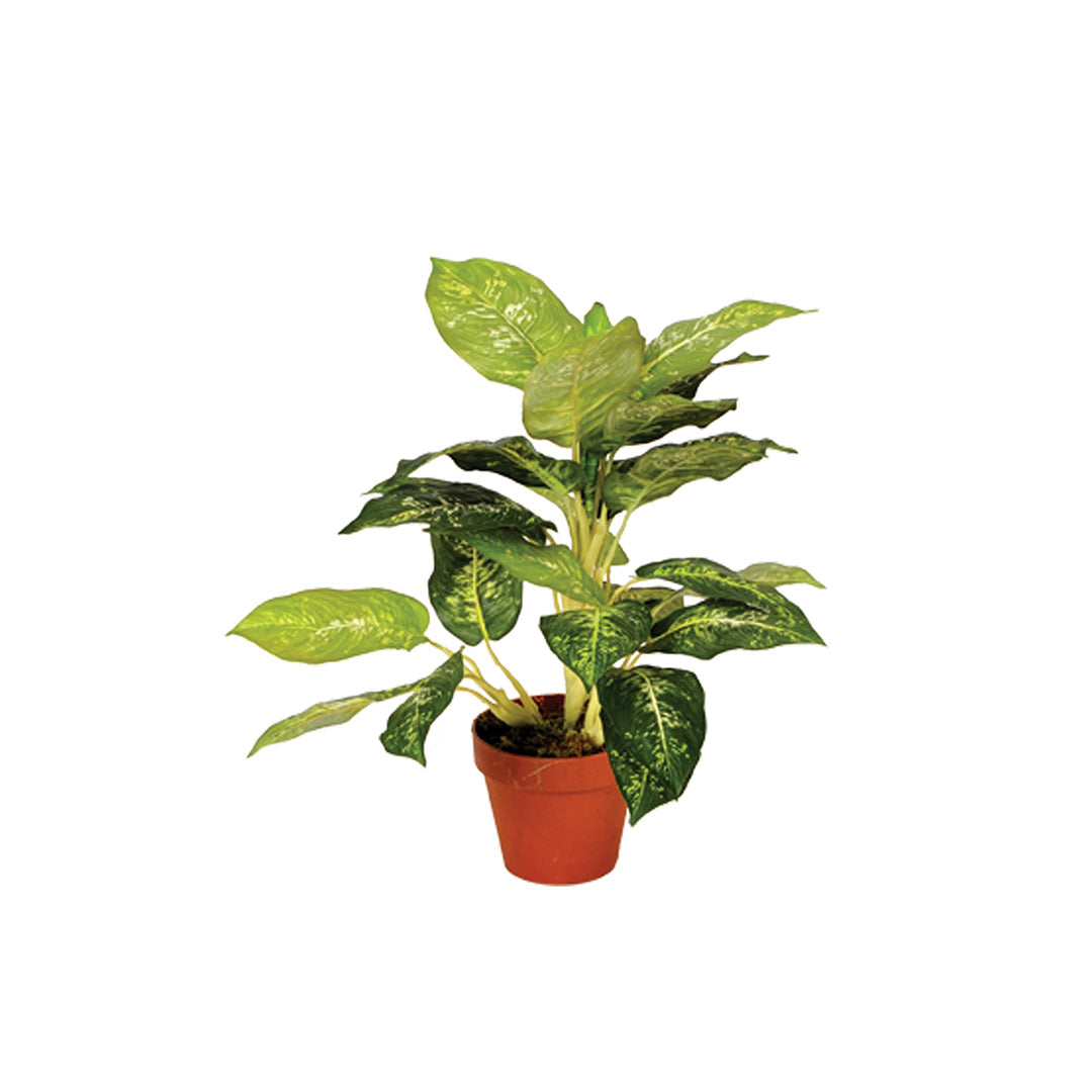 Planta Artificial Calatea Luisae - Decoración Natural Sin Mantenimiento 0.49 M / Multicolor_0