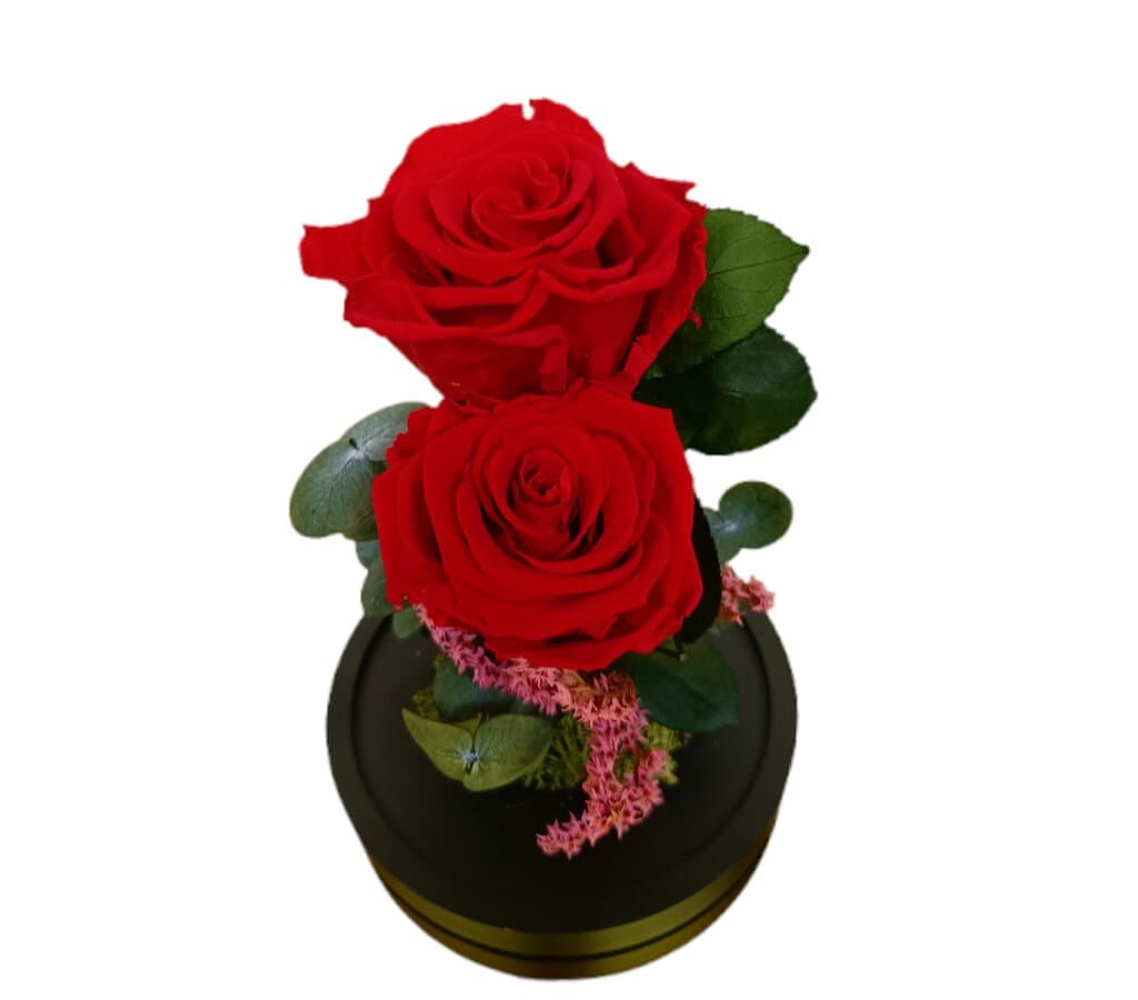 Cúpula 2 Rosas Rojo 12x20cm