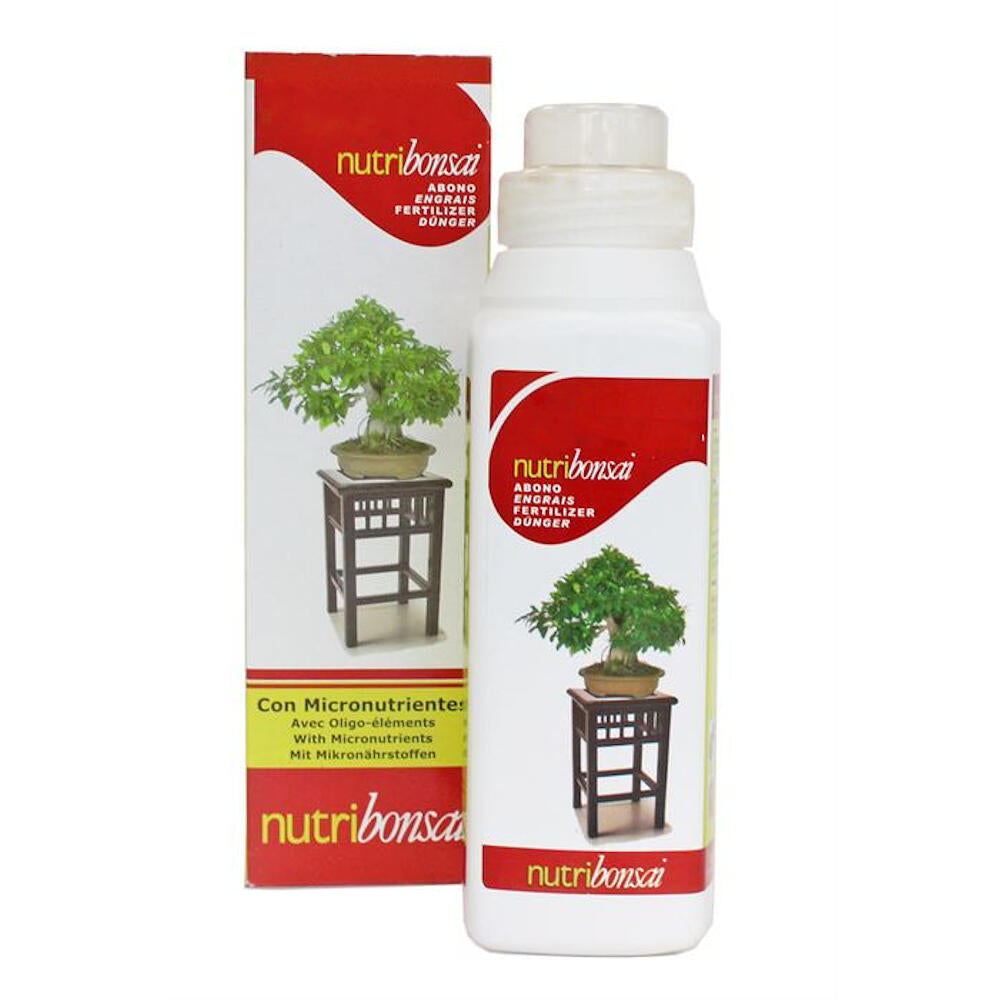 Pack Iniciación Bonsai Zelkova 8 Años Incluye Tijeras Y Abono