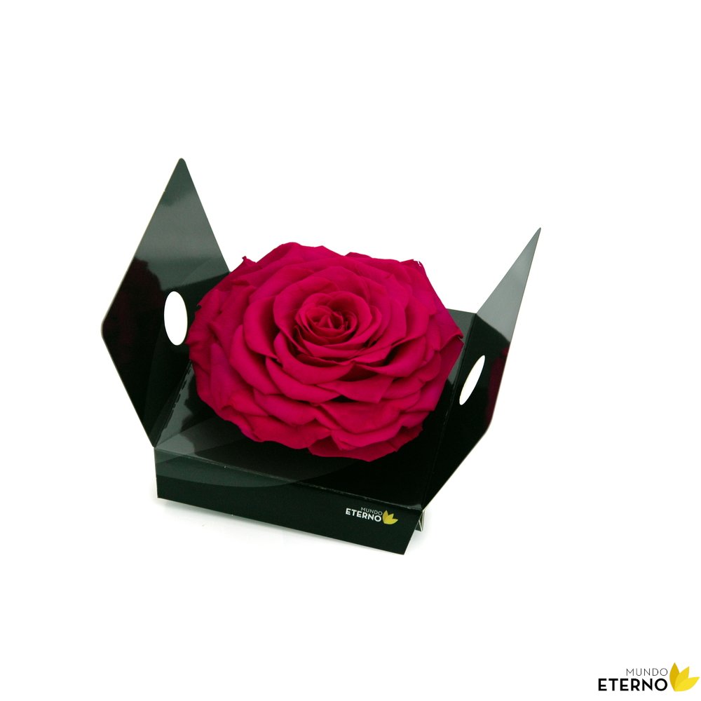 Mundo Eterno Rosmelia Preservada Fucsia 12cm_0