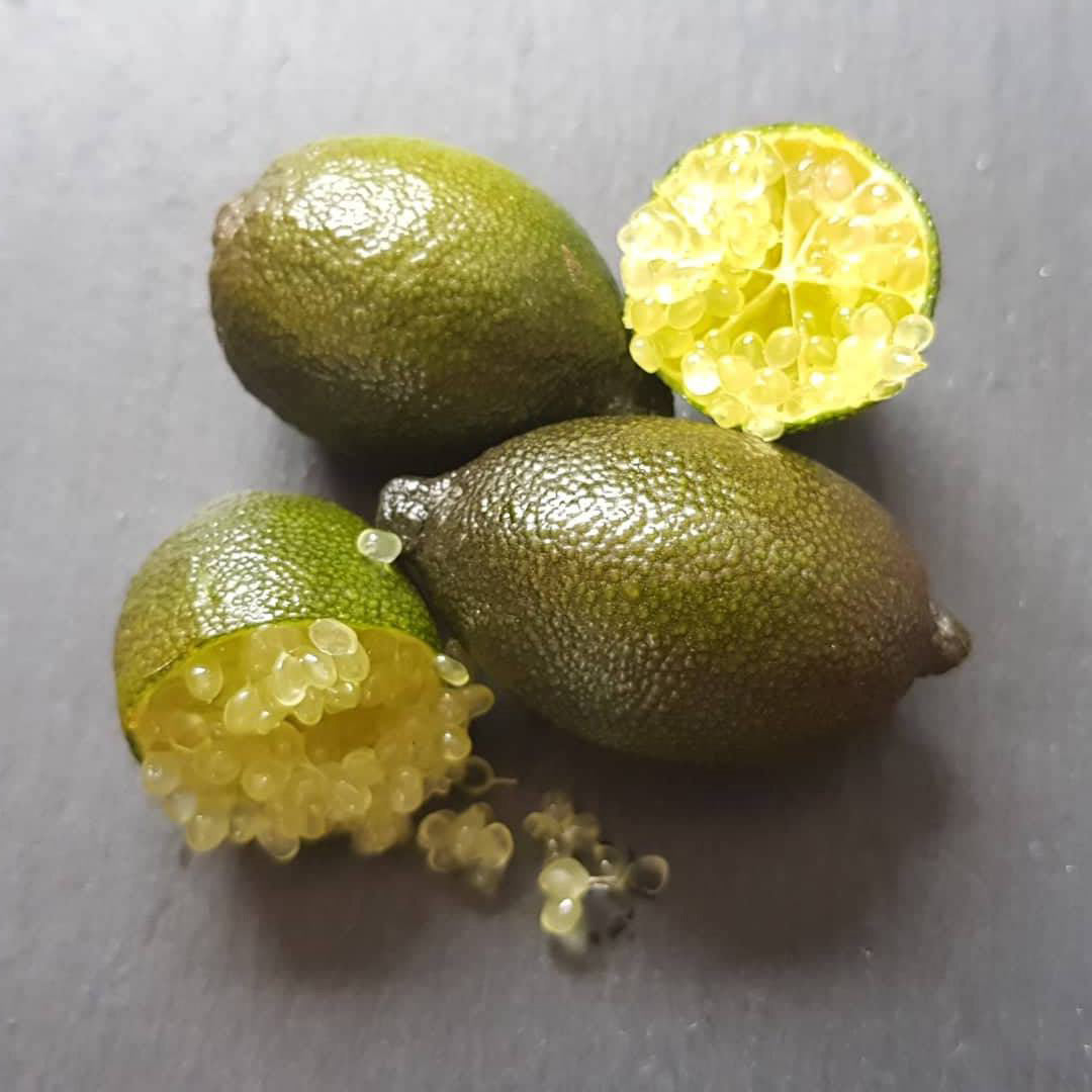 Pack Aceites Y Escamas De Sal Ecológico_2