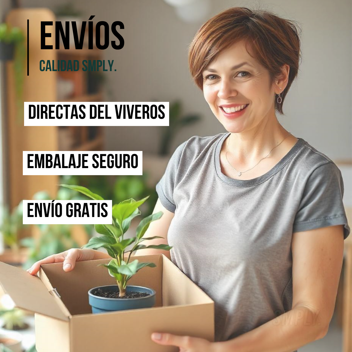 Pack 3 Plantas Naturales -filtro Natural De Aire : Croton + Dieffenbachia Camillia + Palmera Areca Ø12 Cm Alto 30-40 Cm