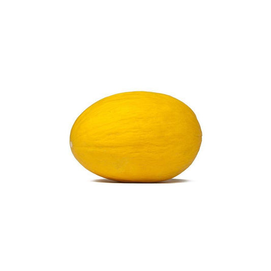Plantón de Melón Amarillo 6 uds. Gama Tradicional
