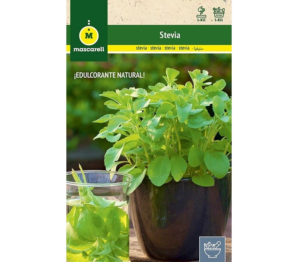 Semillas Stevia_0
