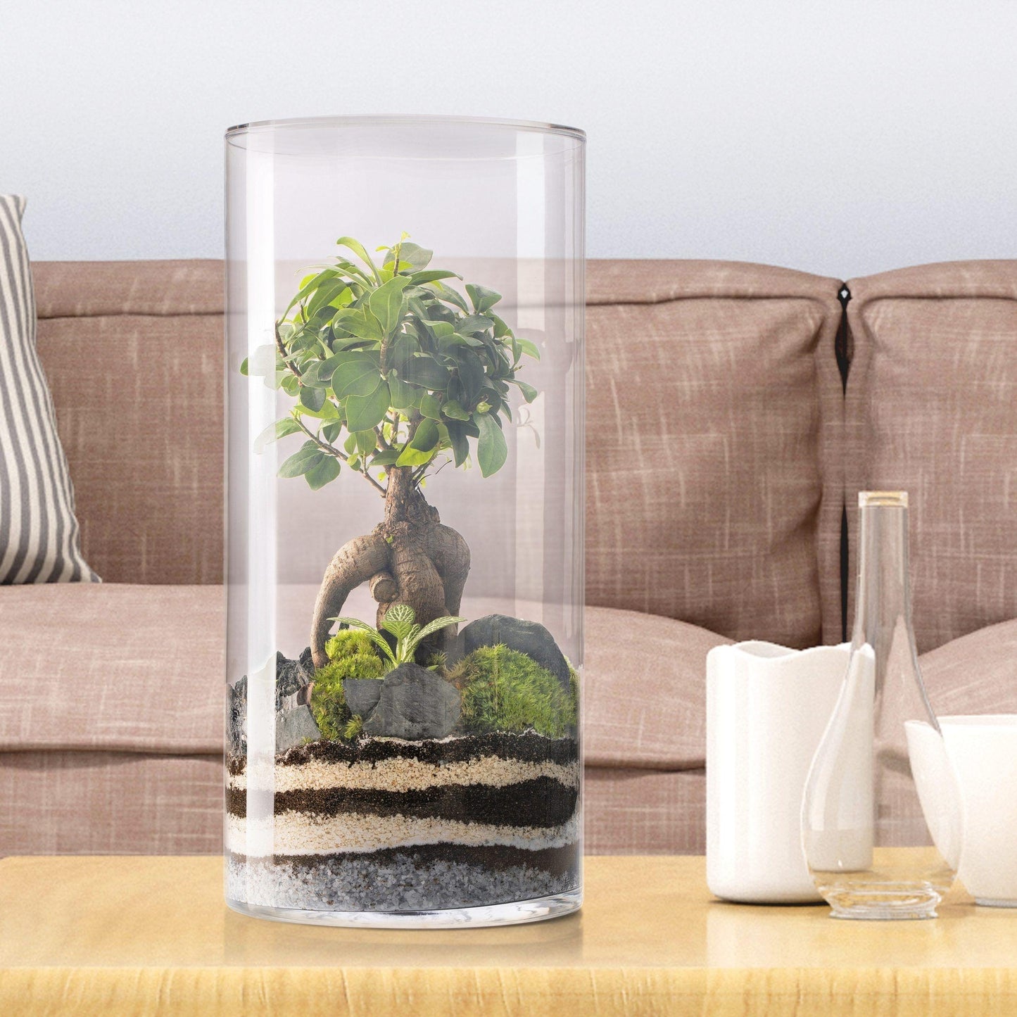 Terrario Amazonia Tower Ficus Ginseng Ø25 x 53 cm