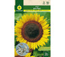 Semillas Girasol Para Pipas
