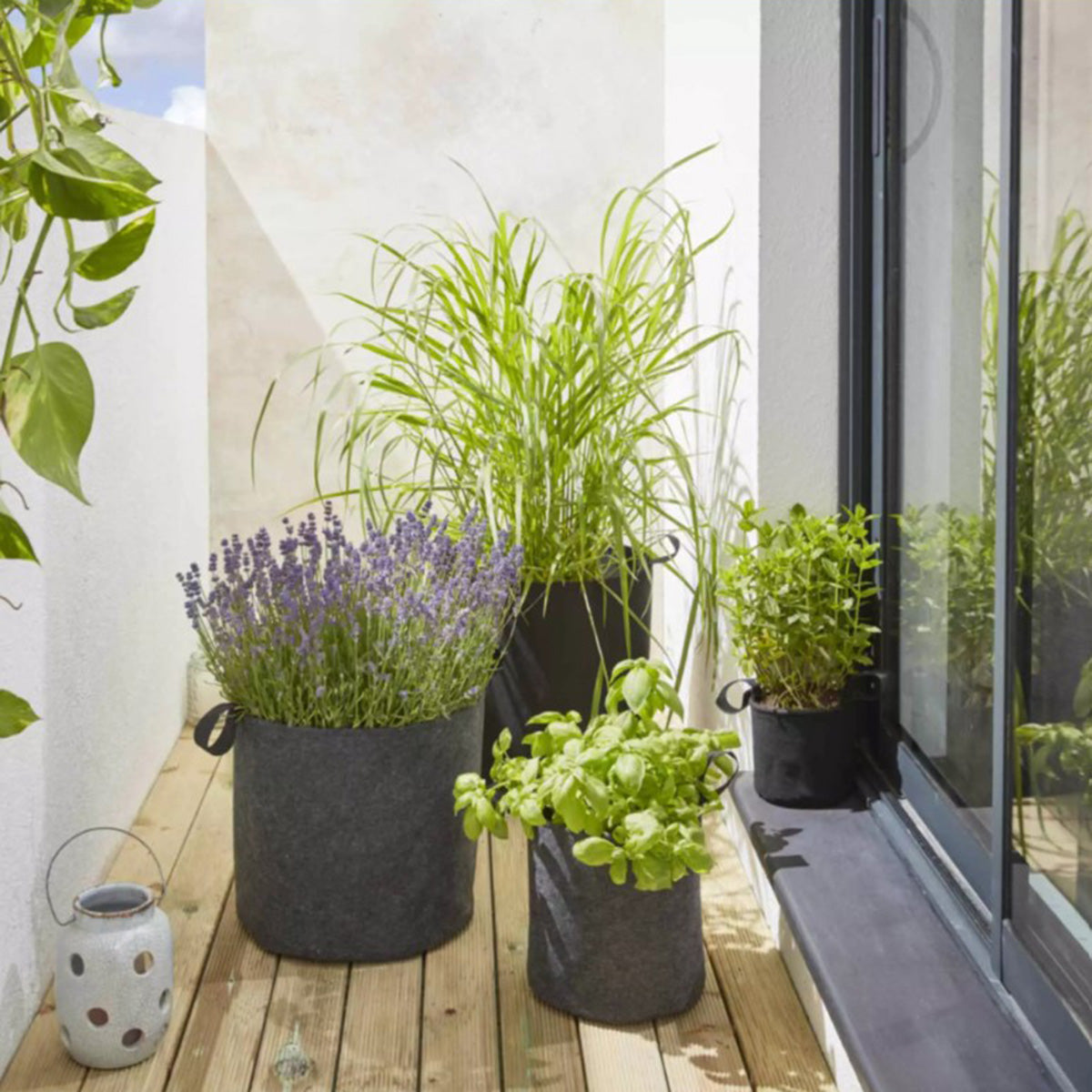 Bag4Plant Bolsa de plantación de fieltro geotextil gris ø15 cm 2,7 L