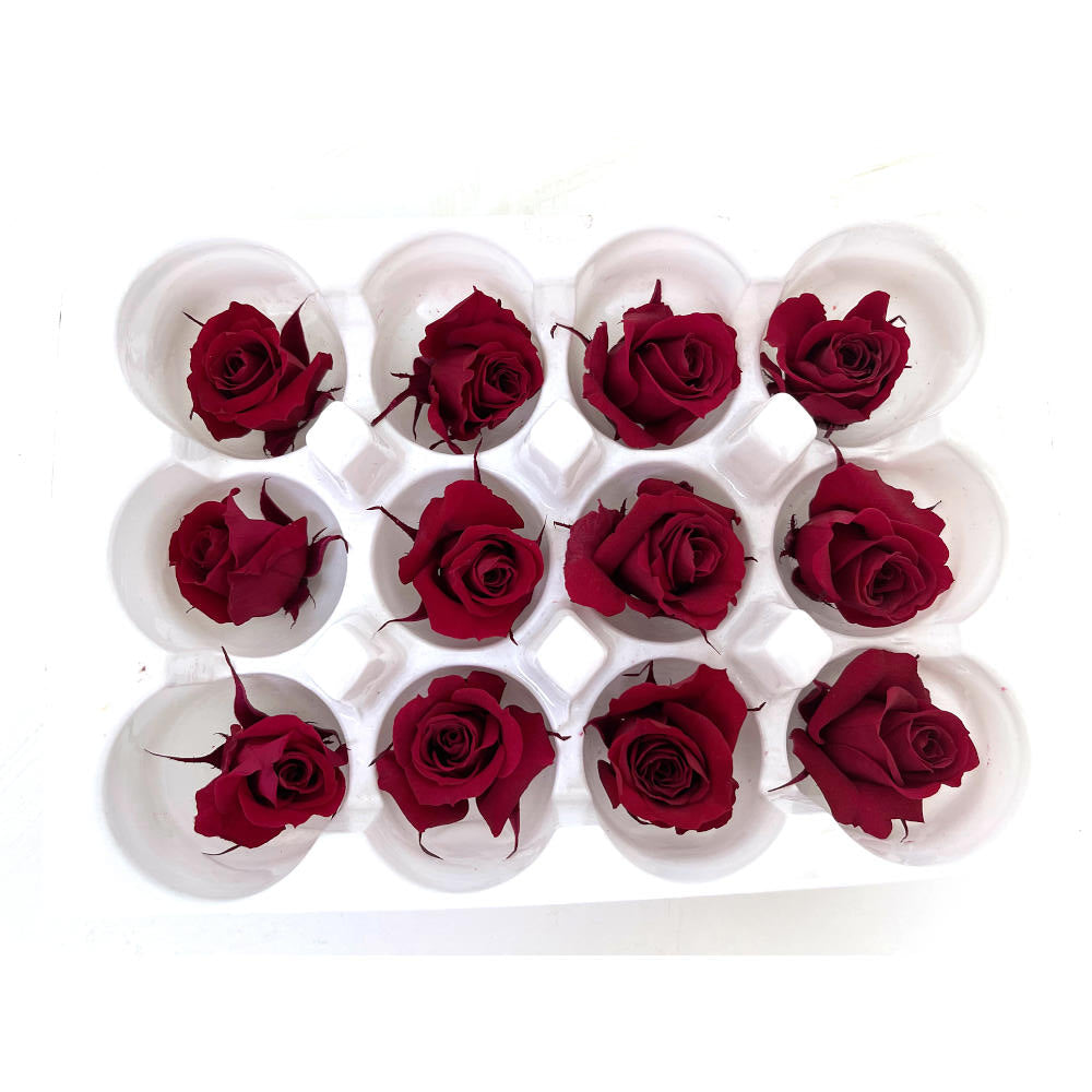 Mundo Eterno Rosas Preservadas Rojas 12 Unidades 4cm