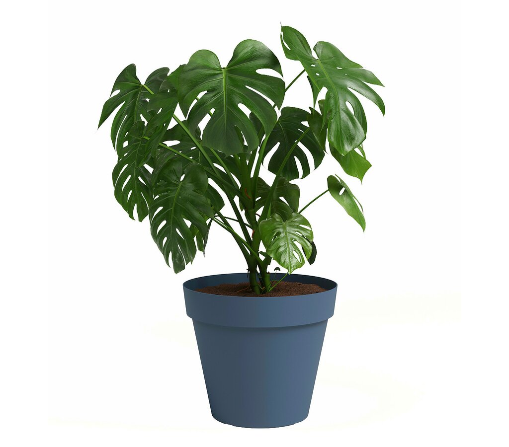 Artevasi Macetero De Plástico Capri Azul Grisáceo 25cm_1