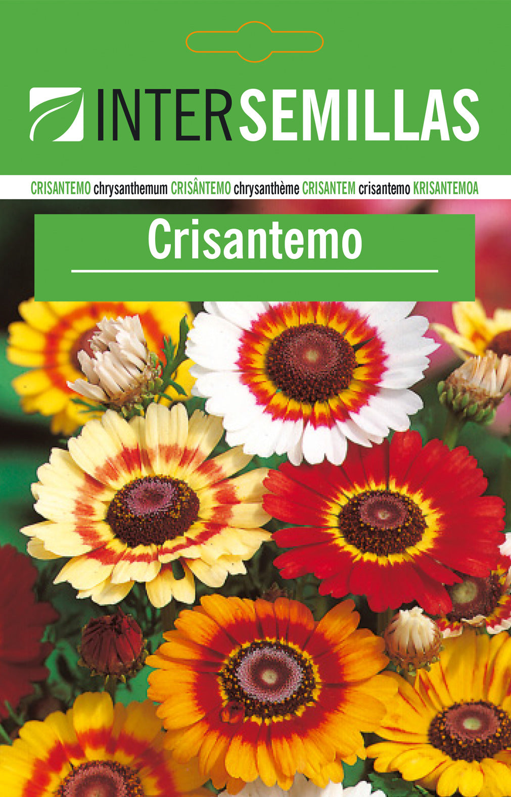 Sobre De Semillas De Cristantemo