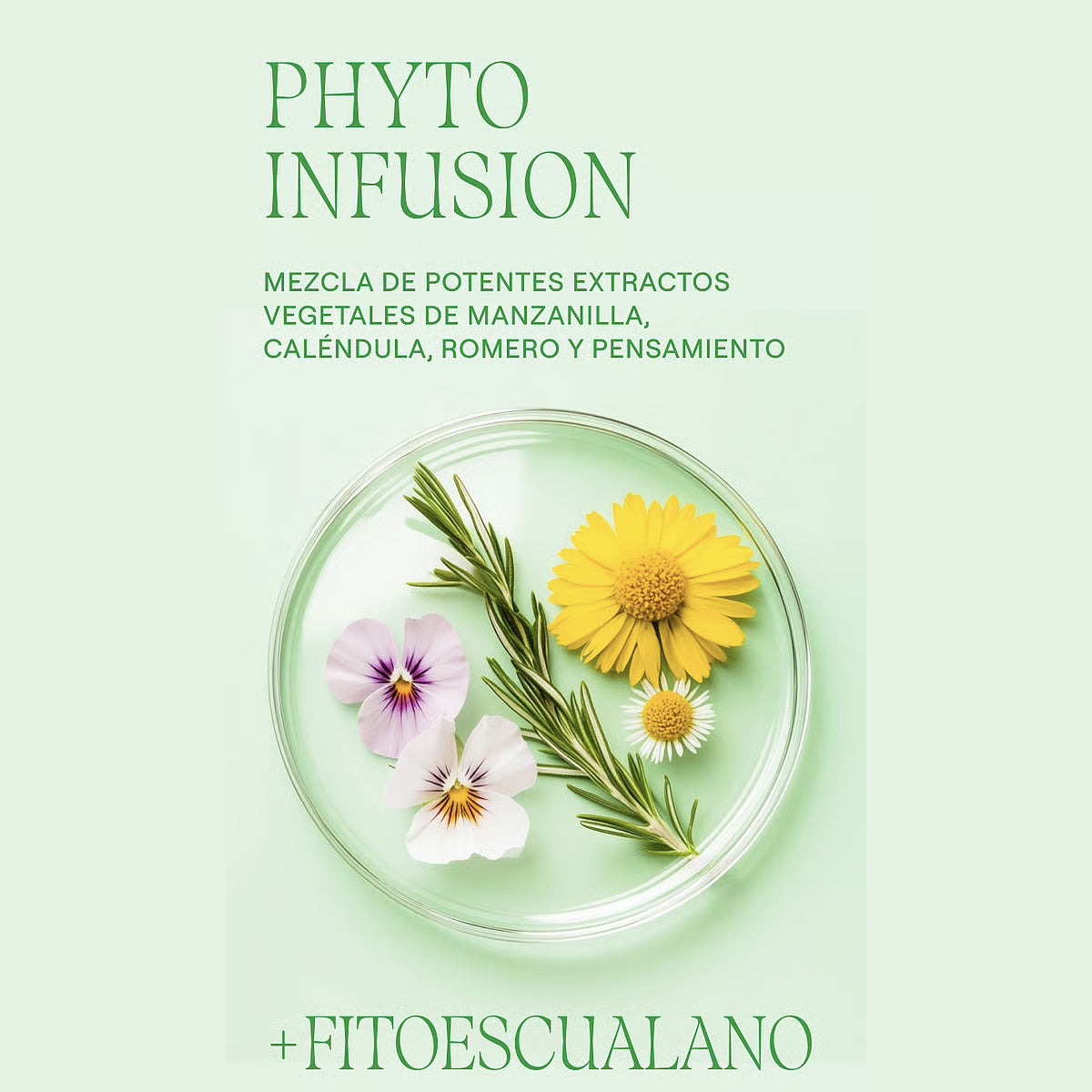 Skin Food Leche Corporal Weleda 250ml