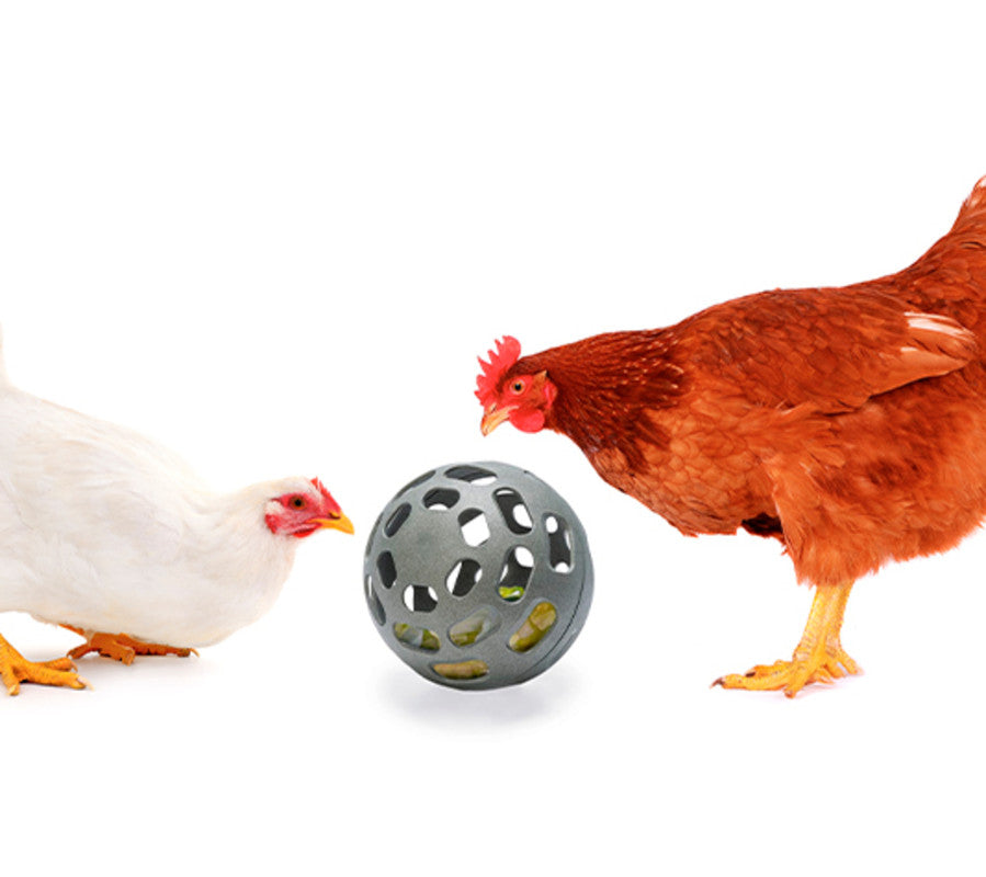 Comedero Rodante Para Gallinas - Comedero Divertido Para Gallinas Y Aves De Corral - Snack Ball_0
