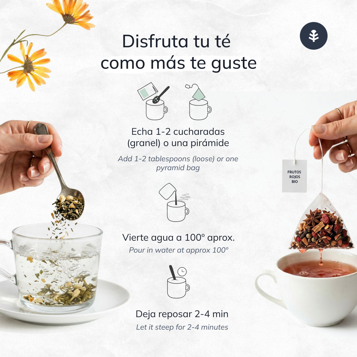 Té Verde Jengibre y Limón ECO Planeta Huerto 20 pirámides