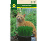 Semillas Hierba Para Gatos