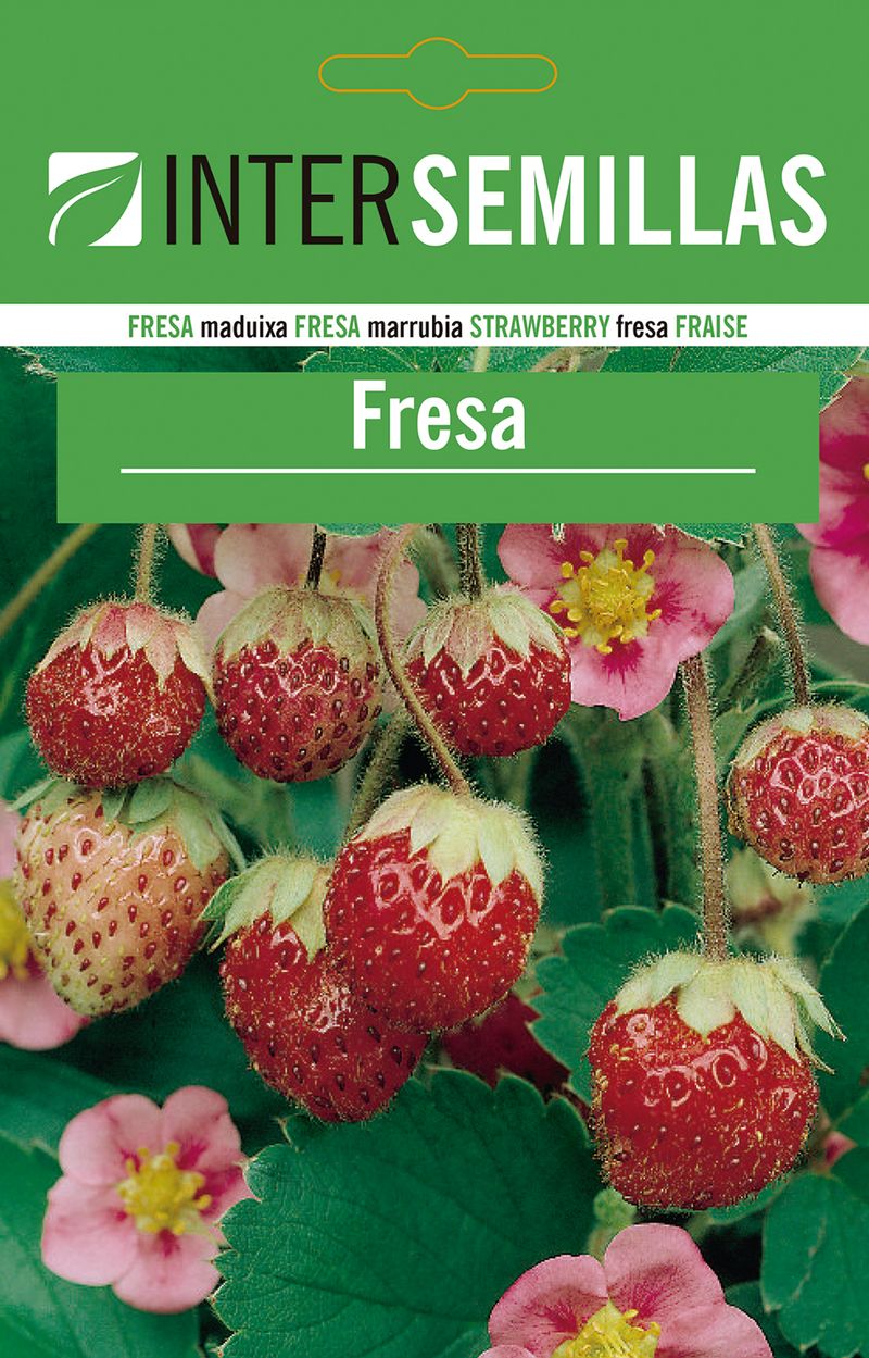 Sobre De Semillas De Fresa