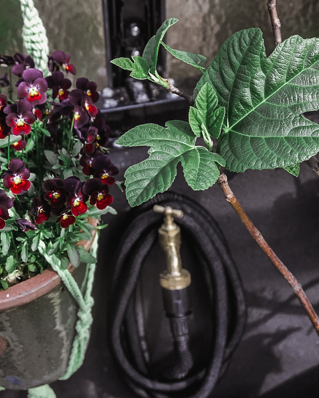 Manguera De Riego Deluxe - Negro, 50 M, Tejido, Látex, Se Expande Con El Agua.