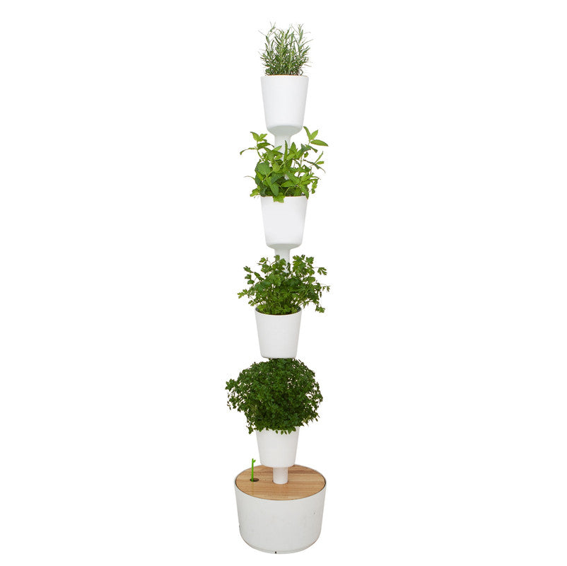 Huerto Vertical Interior Con Autorriego Citysens; Color Blanco; 4 Macetas; Incluye Kit De Semillas De Plantas Aromáticas
