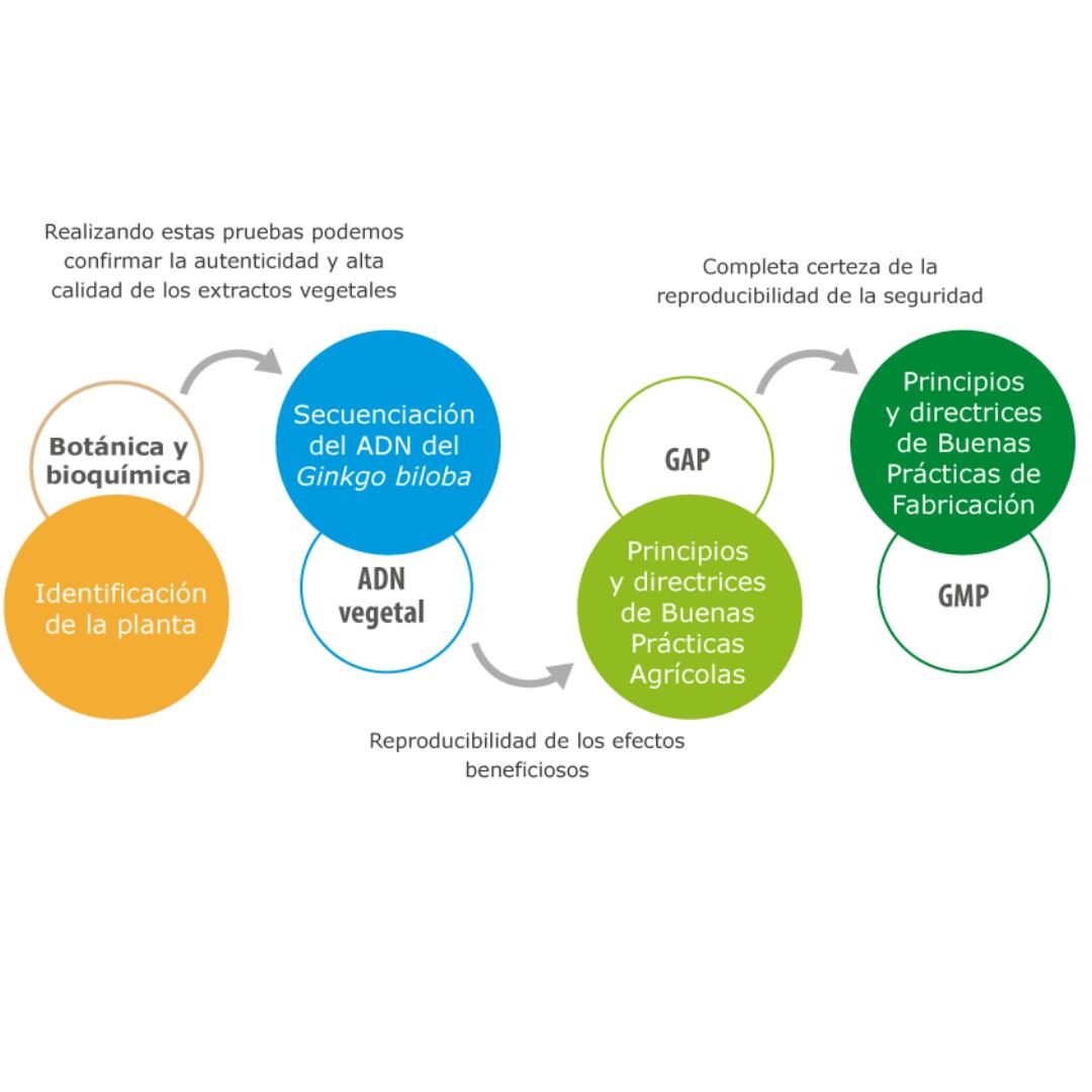 Ginkgo 100 100% Natural 60 Caps