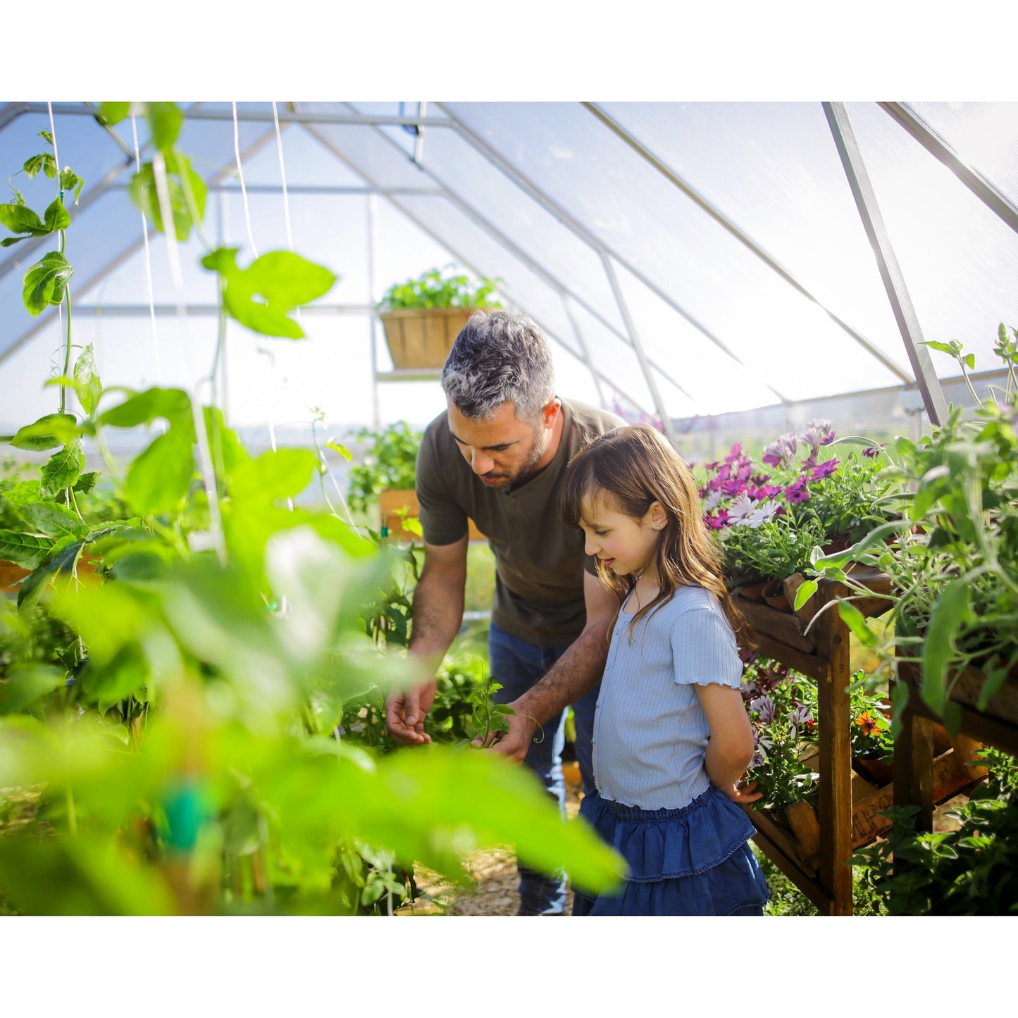 Invernadero Balance 844x304 cm plateado Canopia