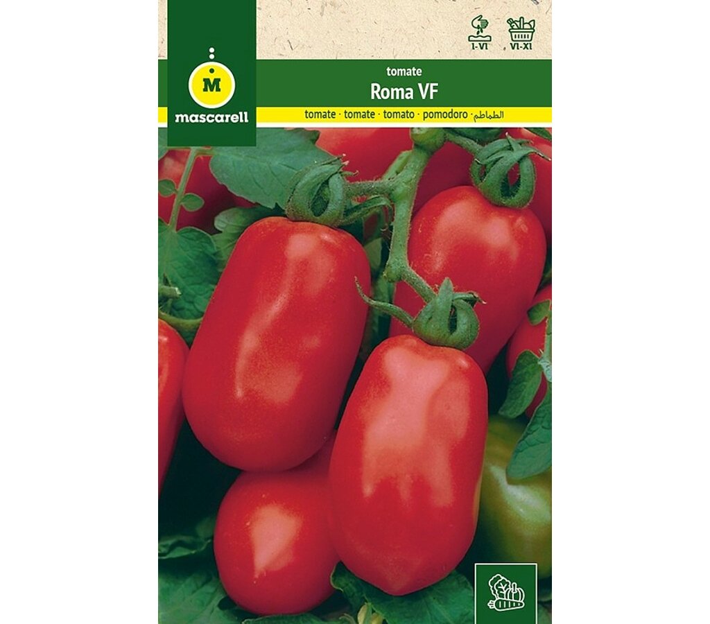 Semillas Tomate Roma Vf Pera