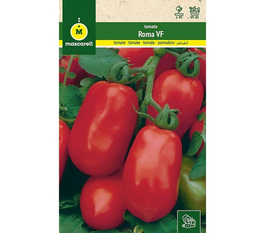 Semillas Tomate Roma Vf Pera