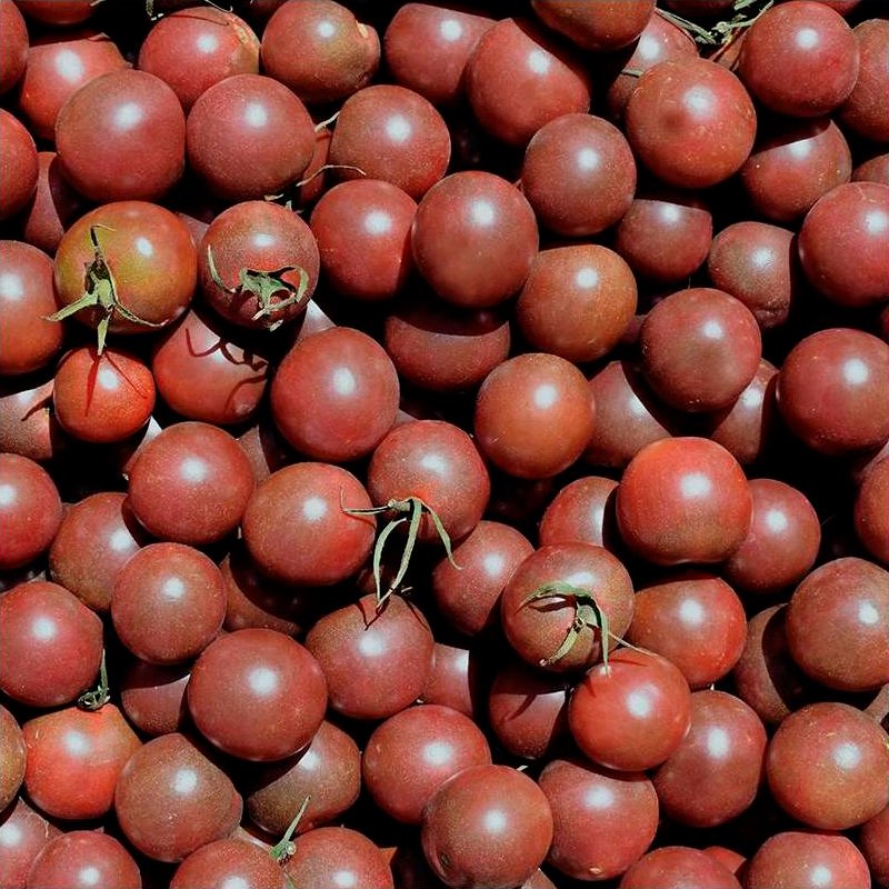 Semillas Tomate Black Cherry Ecológicas_0