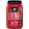Amino X 1.01 Kg Sandía