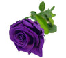 Mundo Eterno Rosa Preservada Lila 25cm