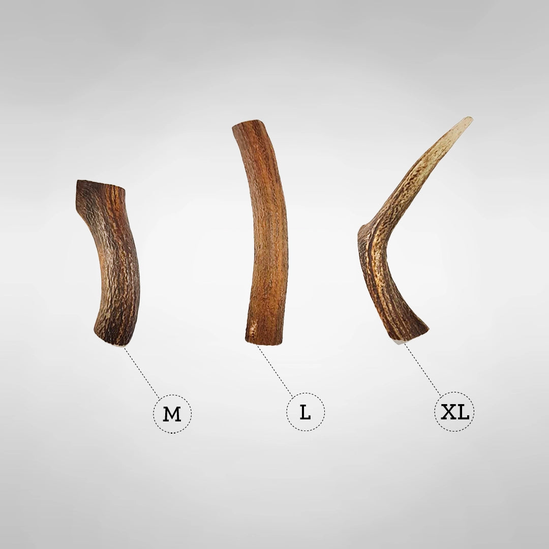 Mordedor De Asta De Ciervo Partida Para Perro