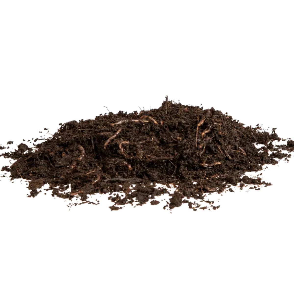 Lombrices rojas californianas para vermicompost Multihuerto 1000 ud