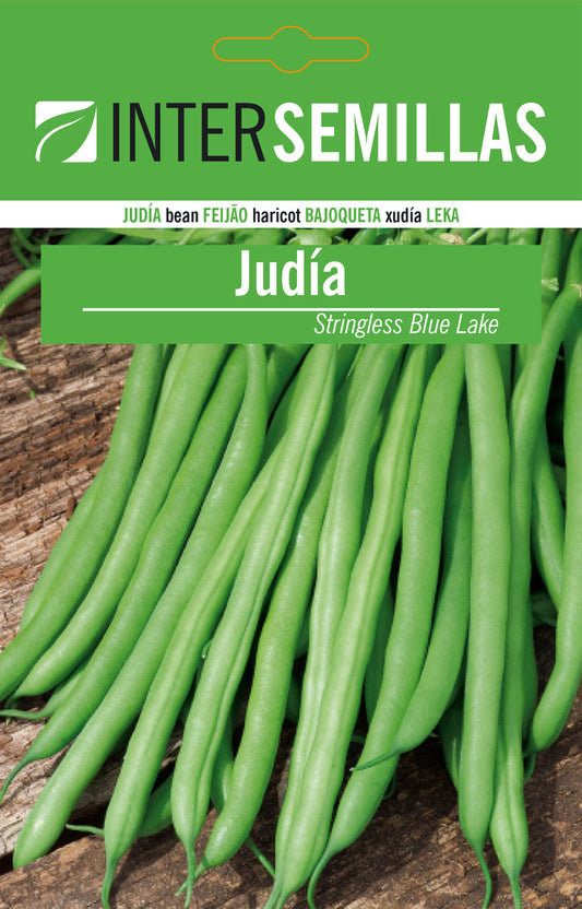 Sobre De Semillas De Judia Stringless Blue Lake