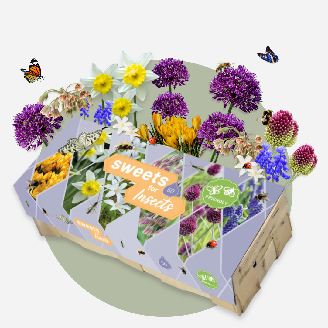 Bulbos Para Insectos - Mezcla De 50 - Resistentes Y Perennes