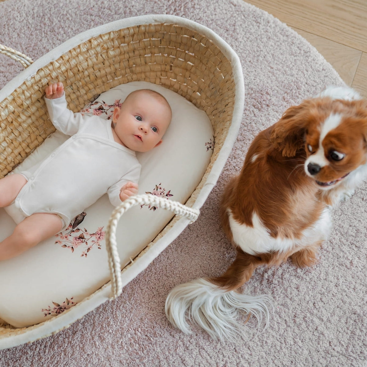 Pack 2 Bajera Capazo Algodón Melange Grey-pink