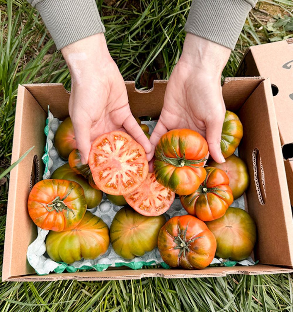 Caja De Tomates Raf De Temporada Tropitop Caja De 9kg_5