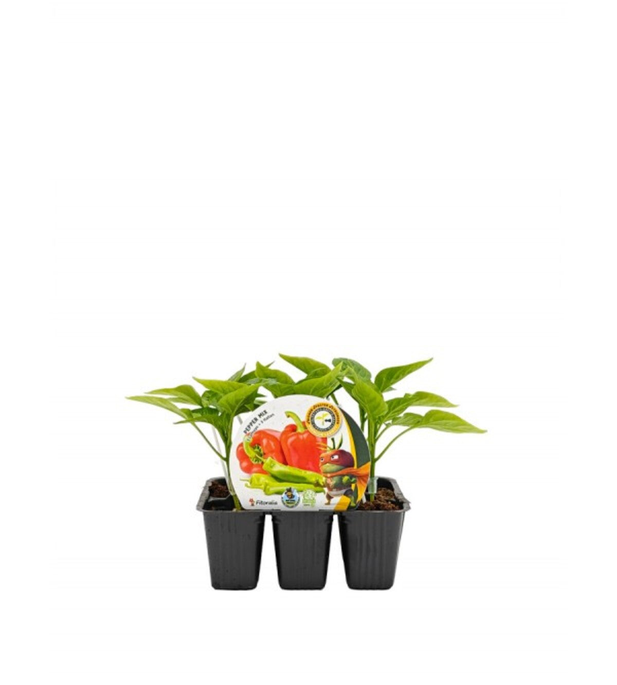 Pack Plantones Injertados Pimientos Pepper Mix 6 Ud. Natural - Fitoralia_0
