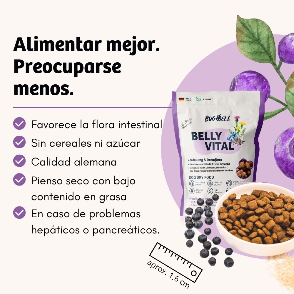 BugBell BellyVital Pienso – hipoalergénico, sin cereales, con proteína de insecto, psyllium y arándanos