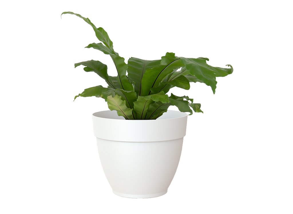 Artevasi Macetero Plástico Capri Campana Blanco 25cm