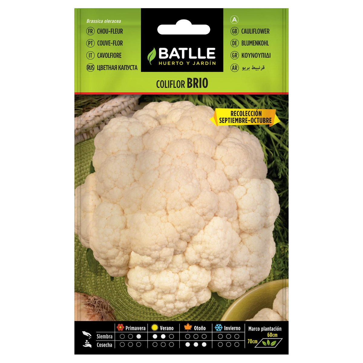 Semillas de Coliflor Brio Sel. Urgelba Batlle