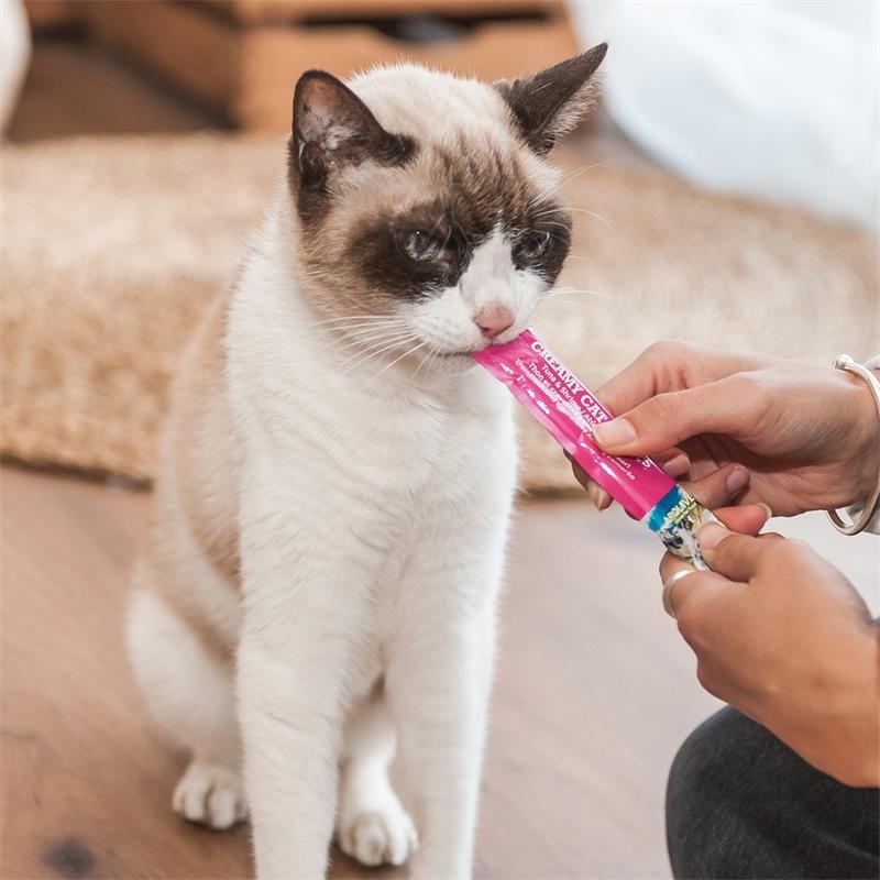 Creamy Cat Treats Snack cremoso de Pollo y Salmón Arquivet 5x14 g