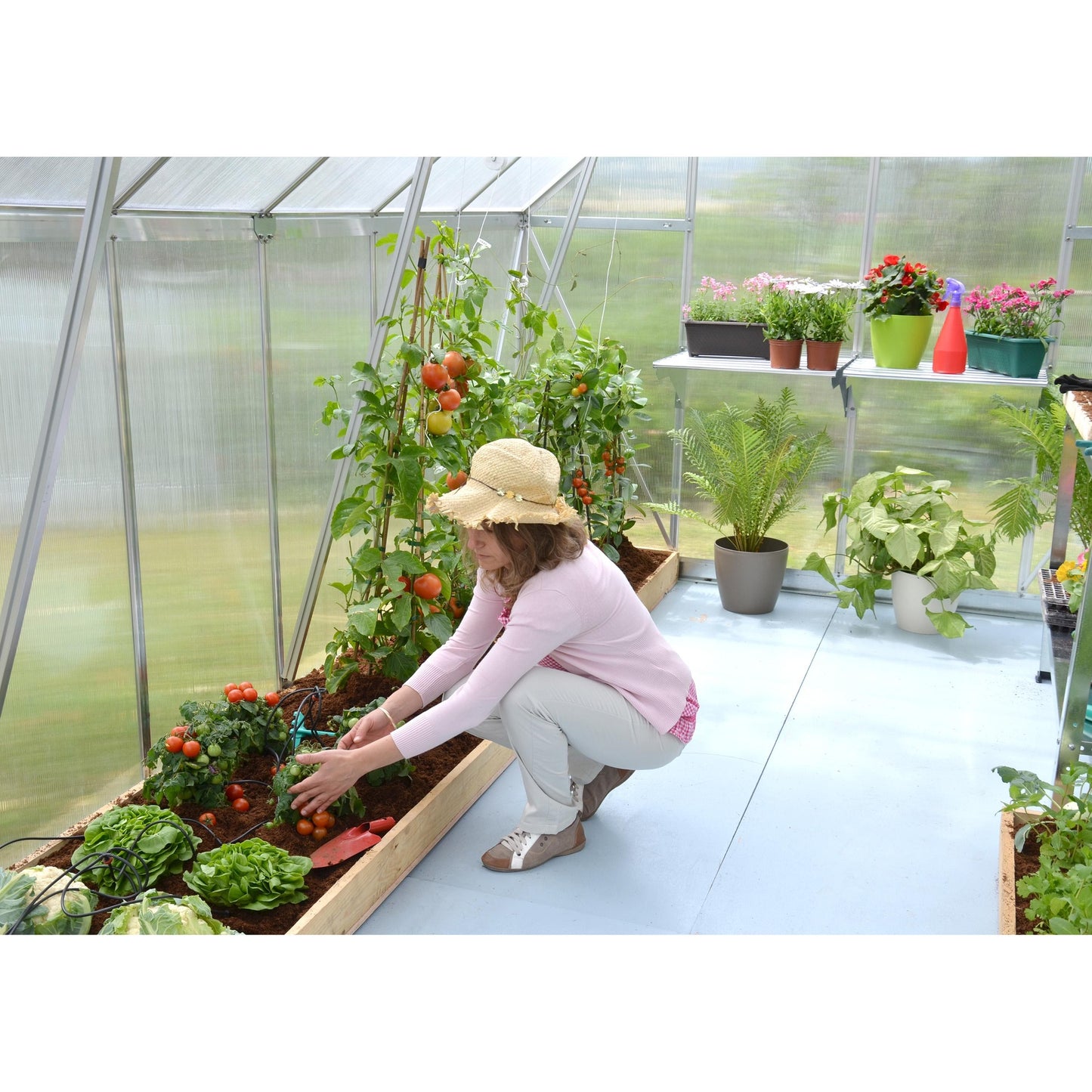 Invernadero Essence 487x244x229 cm