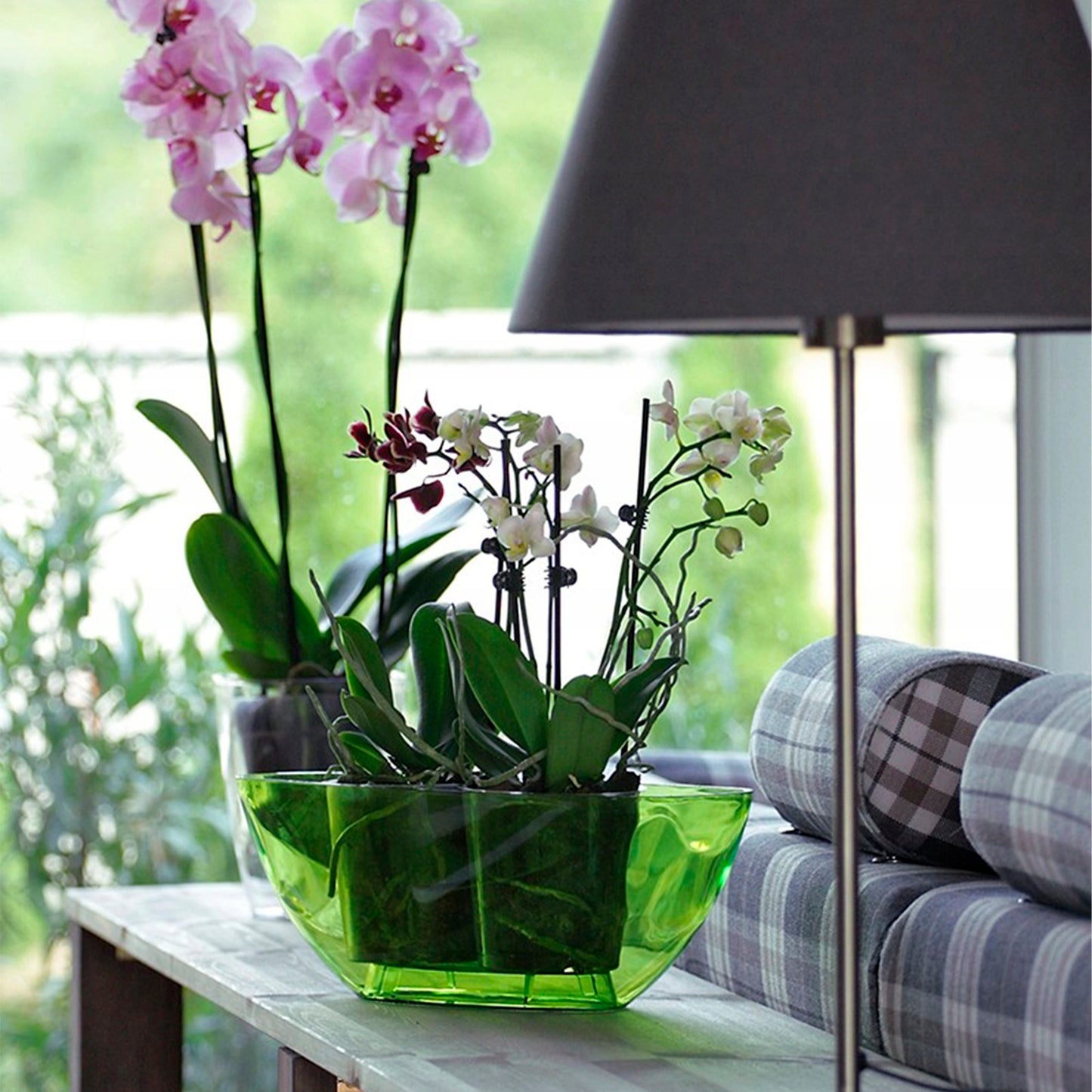 Maceta Coubi Orchid 1l., Dimensiones (mm) 198x130x102, Color Transparente_5