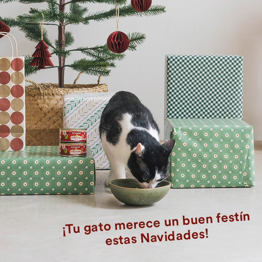 Lata Receta de Navidad BARF para gatos Wild Balance 120 g