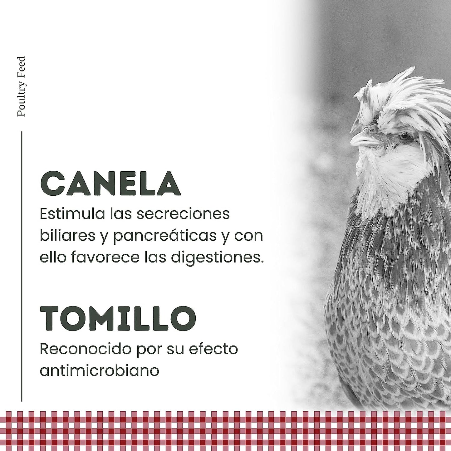 Pienso De Recría Poultry Feed_4
