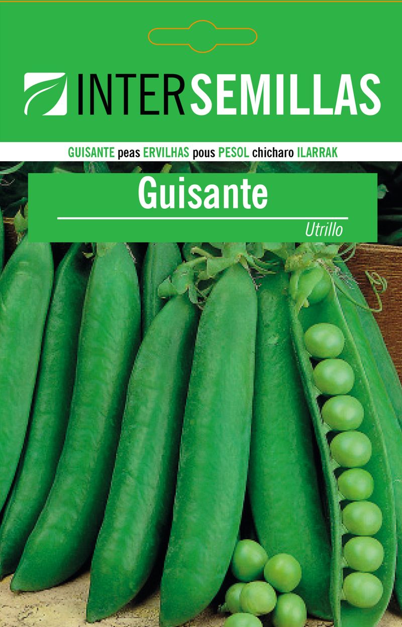 Sobre De Semillas Guisante Utrillo