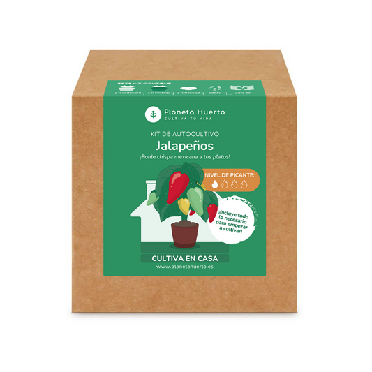 Kit de autocultivo Jalapeños Planeta Huerto