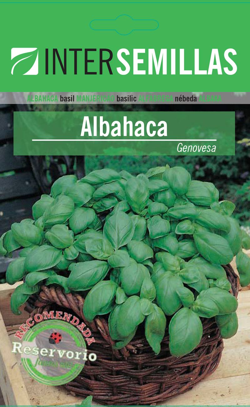 Sobre De Semillas De Albahaca