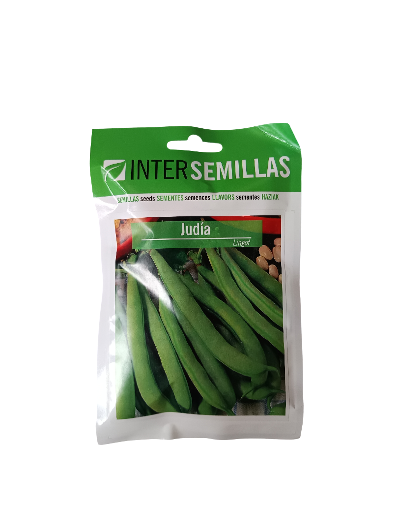 Semillas De Judia Variedad Lingot 100 Gr.