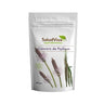 Cáscara de Psyllium 200 g, Salud Viva